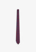 SCMINI PAISLEY F TIE