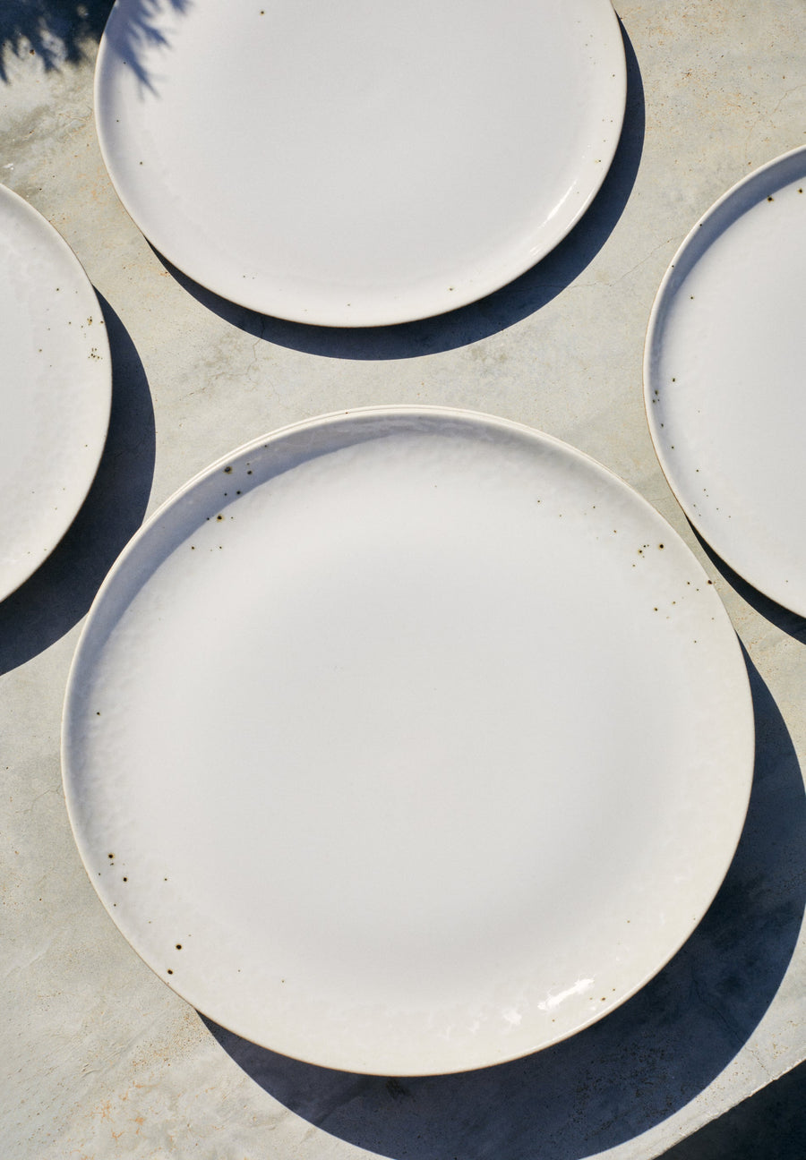 ASSIETTE PLATE GRÈS PORCELAINÉ